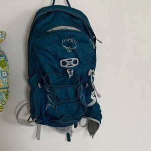 Osprey Blue Adventure Backpack